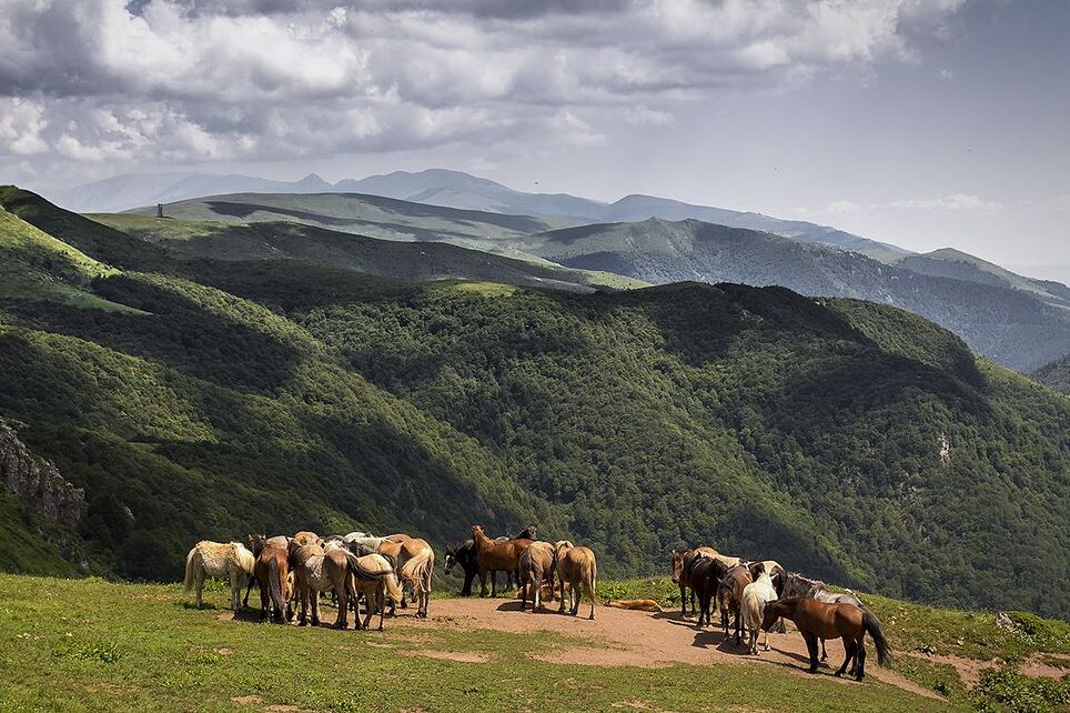 Bulgaria’s Central National Park
