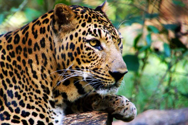 Galway's Land National Park - නුවරඑළිය | Secret World Trip Planner