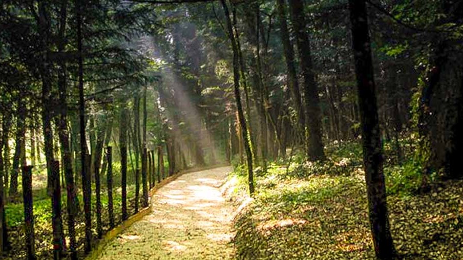 MAB-Reserve von Montedimezzo - Vastogirardi | Secret World Trip Planner