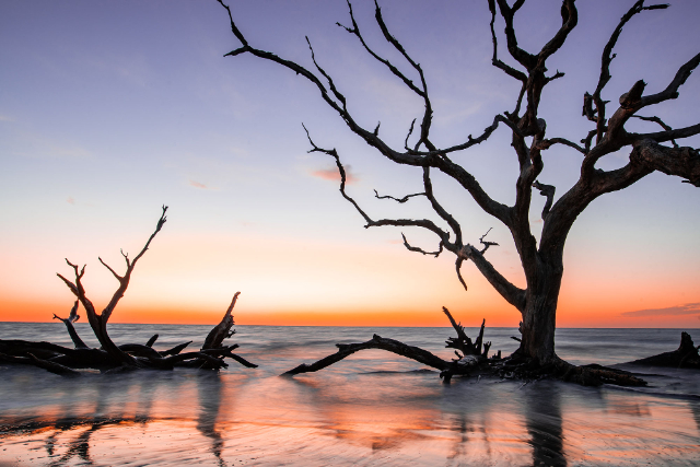Jekyll Island - Jekyll Island | Secret World Trip Planner