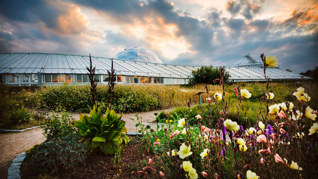 Botanisk Have (Botanical Garden) - Aarhus | Secret World Trip Planner