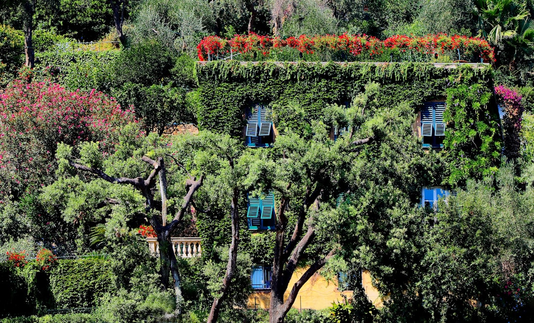 Trsteno Arboretum and the green gardens of King's Landing - Trsteno | Secret World Trip Planner