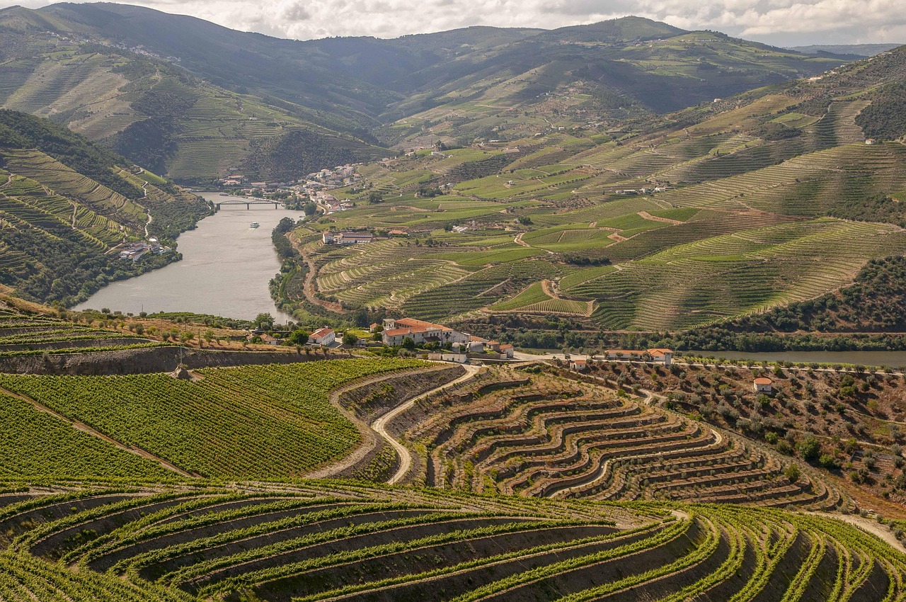 Port wine is the soul of the whole region of Porto and Douro - Porto | Secret World Trip Planner