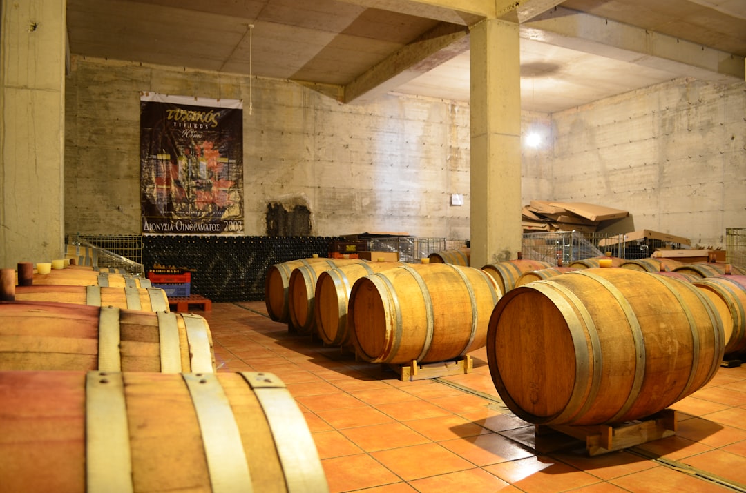 Spain | Museum of Wine Culture - Briones | Secret World Trip Planner
