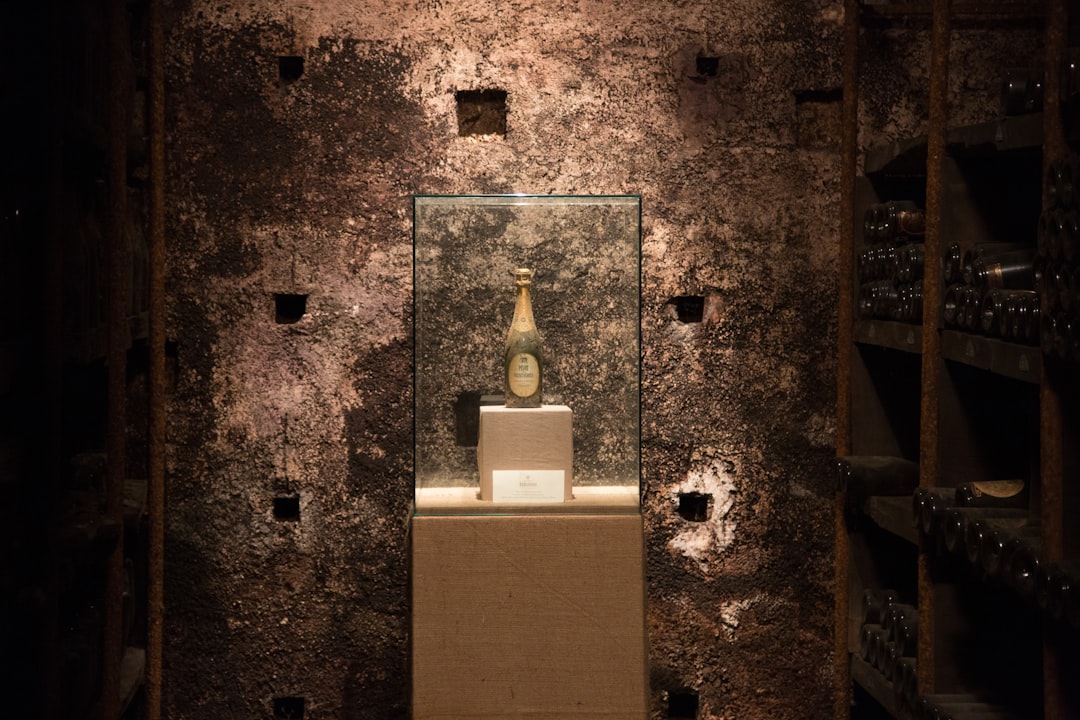 Spain | Museum of Wine Culture - Briones | Secret World Trip Planner