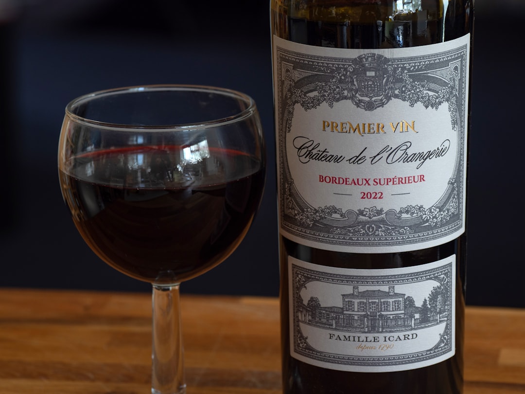 Bordeaux and the City of Wine - Bordeaux | Secret World Trip Planner