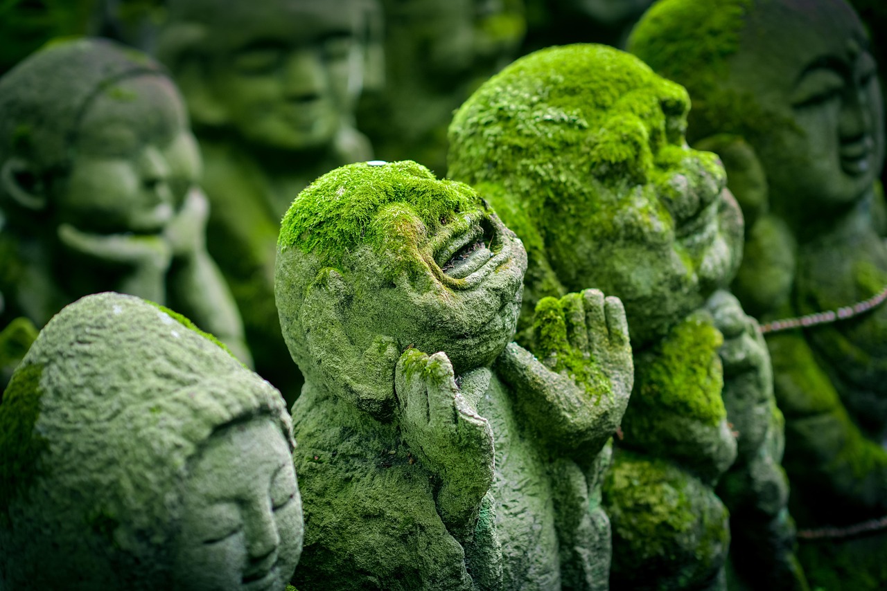 Saihoji, known as Kokedera, is one of Kyoto's Unesco - Ky?to-shi | Secret World Trip Planner