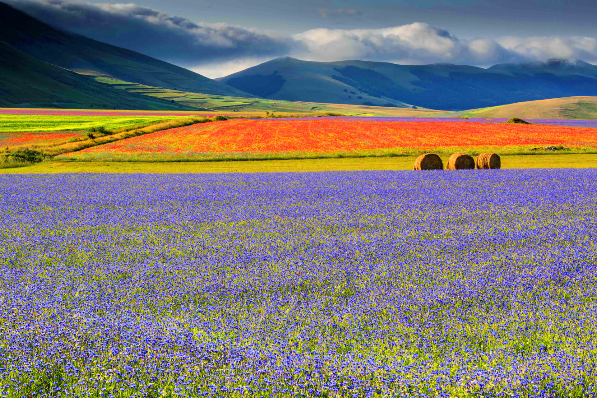 Înflorirea lui Castelluccio - Castelluccio | Secret World Trip Planner