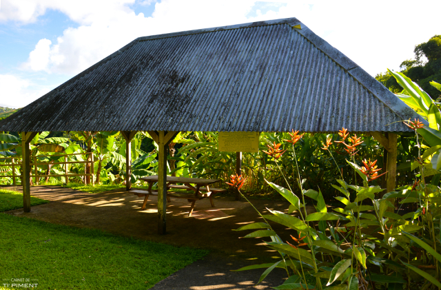 Banana Museum (Le Musee de la Banane) - Sainte-Marie | Secret World Trip Planner