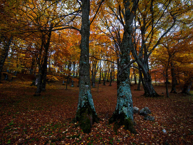 إريمو دي سانت أنتونيو - Via del Colle | Secret World Trip Planner