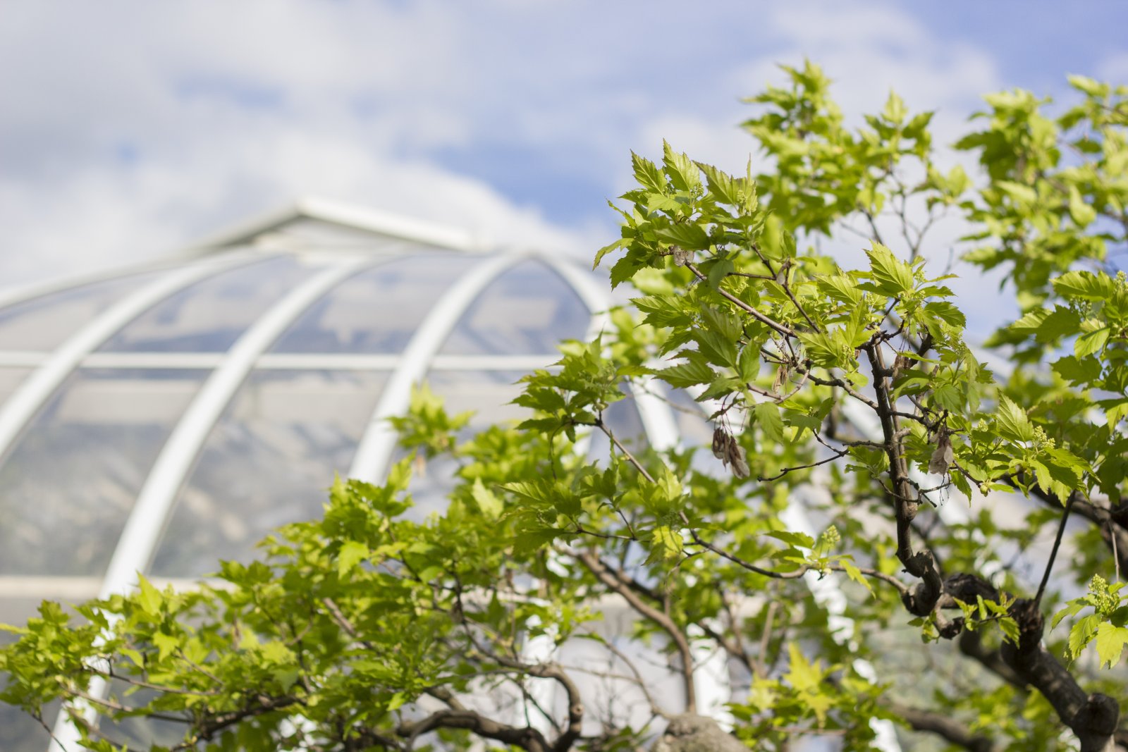Pittsburgh: Phipps Conservatory and Botanical Gardens - Pittsburgh | Secret World Trip Planner