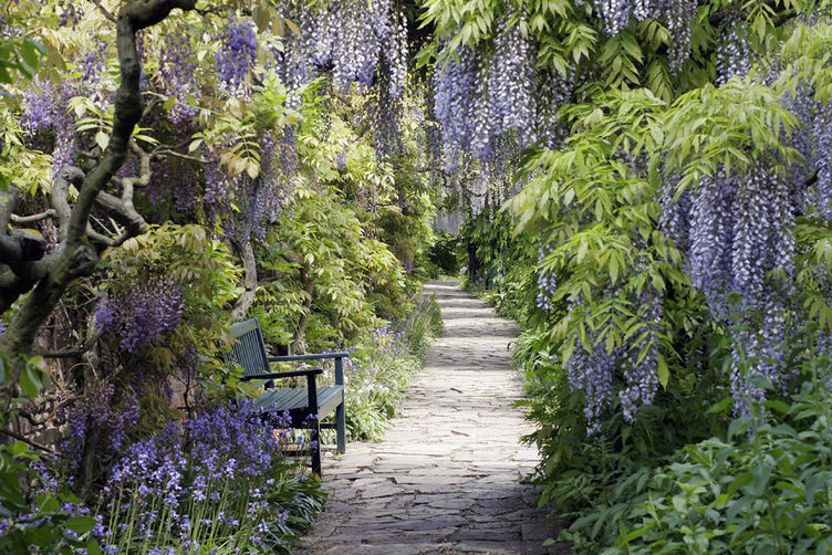 Weinheim: Hermannshof Garden — Weinheim
