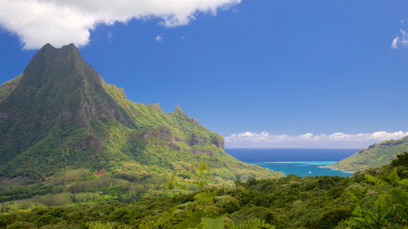 Cook's Bay - Baia di Cook | Secret World Trip Planner
