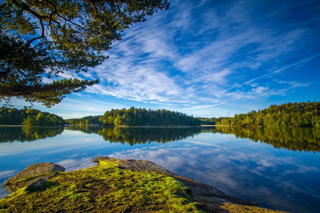 Riserva naturale di Änggårdsbergen — Mölndal