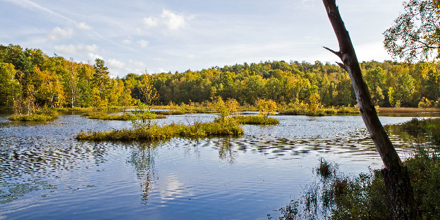Riserva naturale di Änggårdsbergen - Mölndal | Secret World Trip Planner