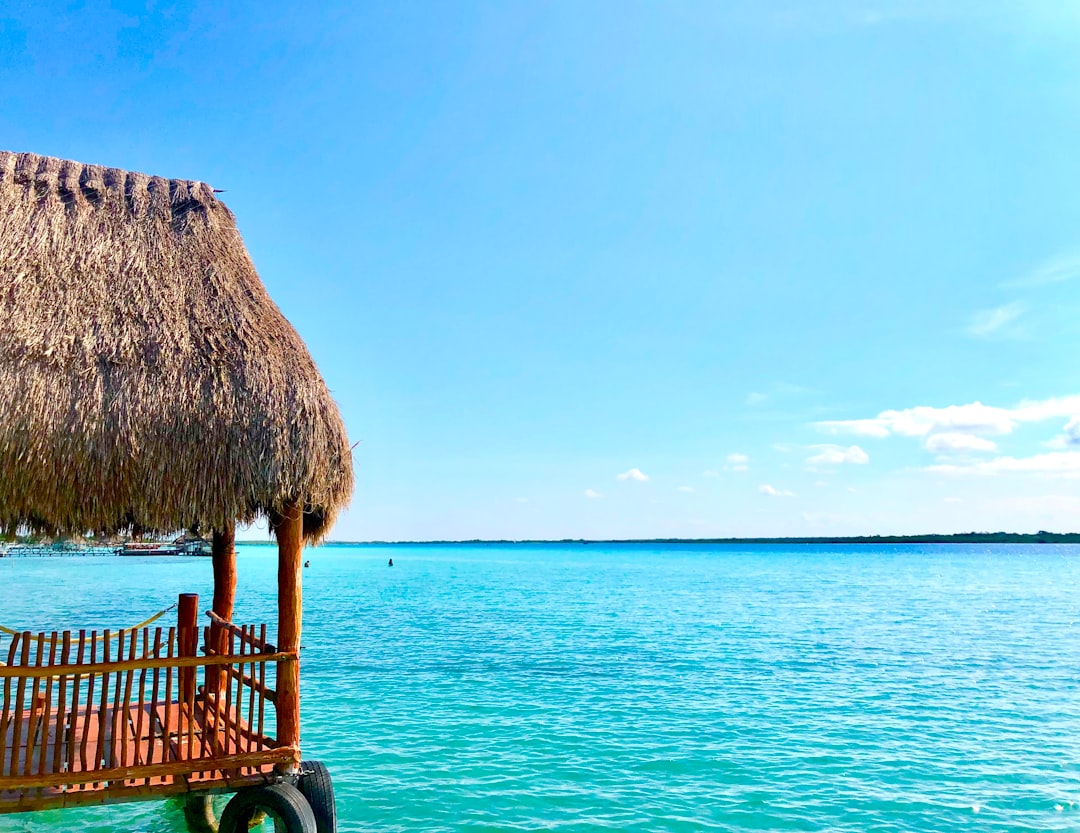 Lagoon Cod - Laguna di Bacalar | Secret World Trip Planner