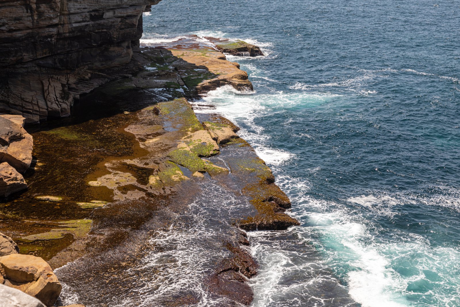 Der Klippenweg der Föderation - Watsons Bay | Secret World Trip Planner