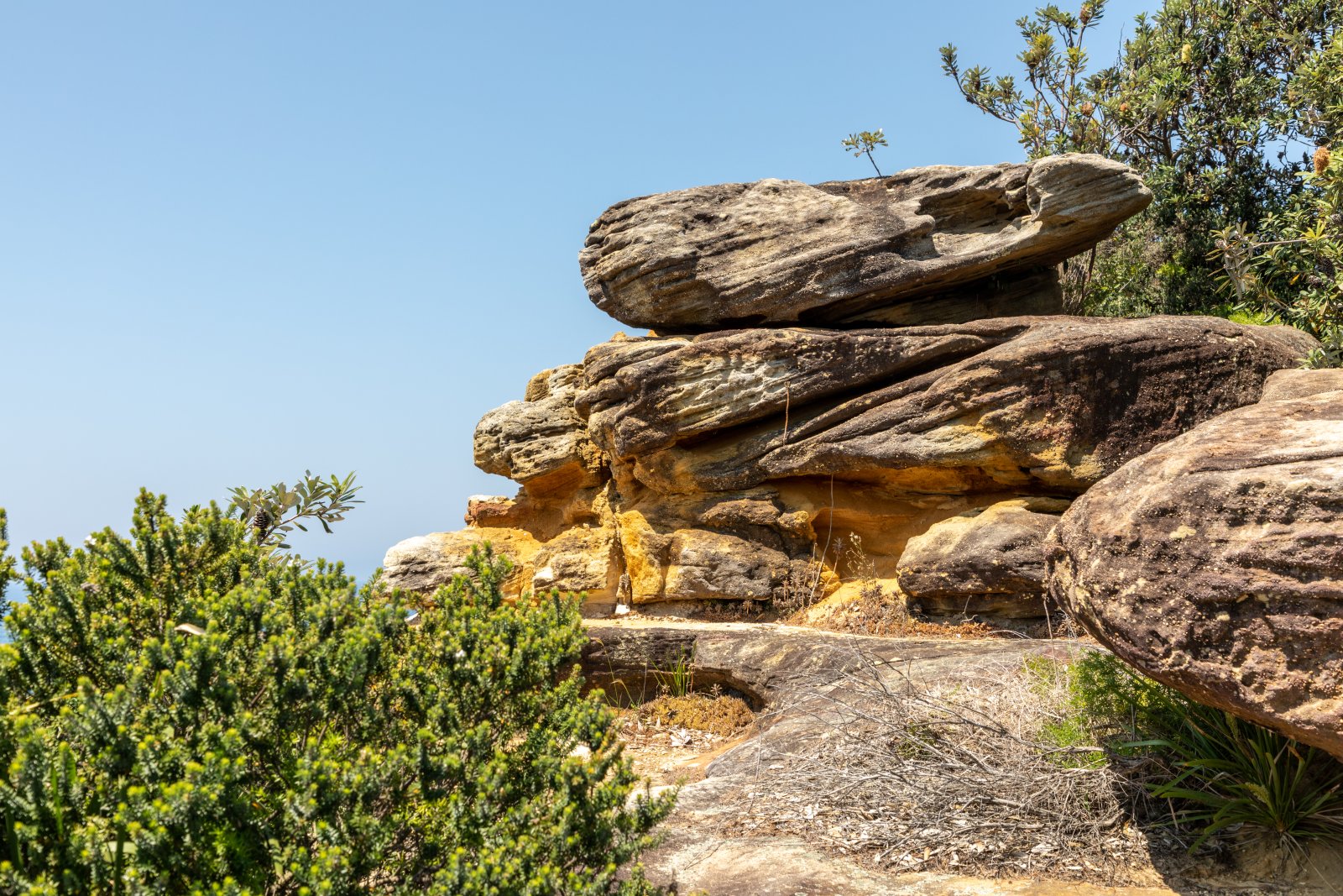 Der Klippenweg der Föderation - Watsons Bay | Secret World Trip Planner