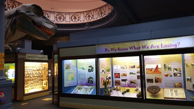 Naturwissenschaftliches Museum Durban - Durban | Secret World Trip Planner