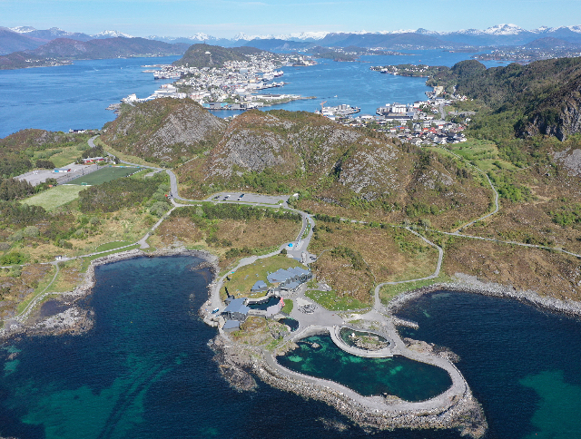 Acquario Atlanterhavsparken - Tuenesvegen 200 | Secret World Trip Planner