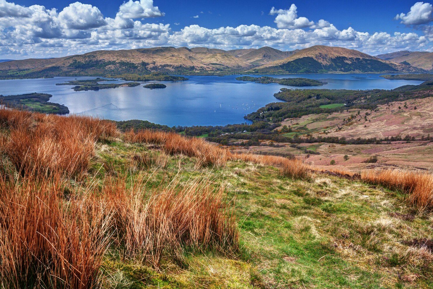 Schottland | Loch Lomond — Loch Lomond