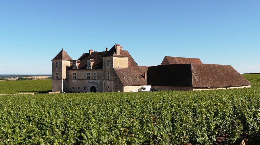 The Cote d'or Vineyards — Nuits-Saint-Georges
