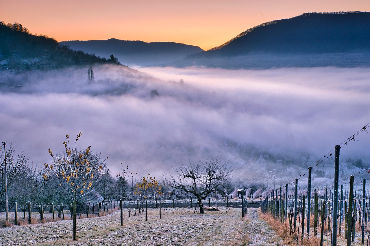 The Cote d'or Vineyards - Nuits-Saint-Georges | Secret World Trip Planner