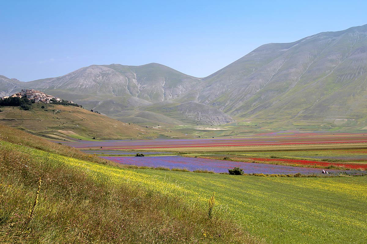 कैस्टेलुशियो का फूलना - Castelluccio | Secret World Trip Planner