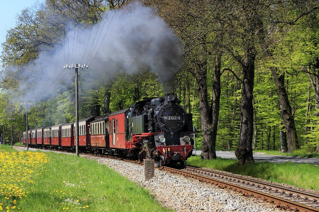 Mecklenburg Beach Train Molli — Bad Doberan