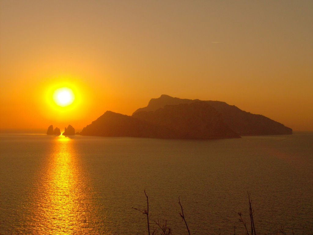 Campanella puntua - Area naturale marina protetta Punta Campanella | Secret World Trip Planner