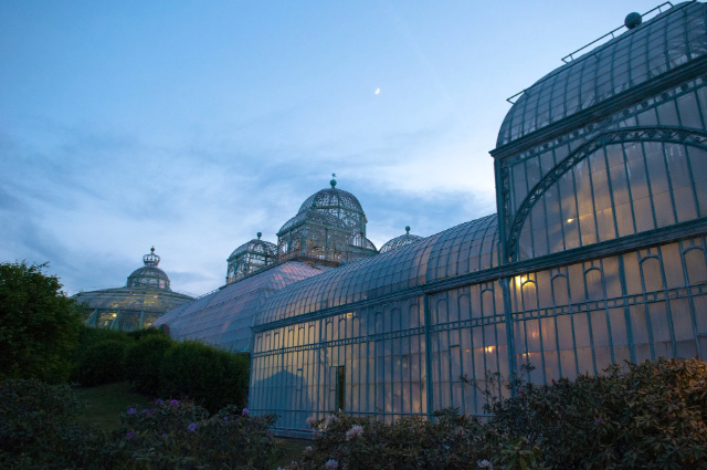 The Royal Greenhouses of Laeken - Bruxelles | Secret World Trip Planner
