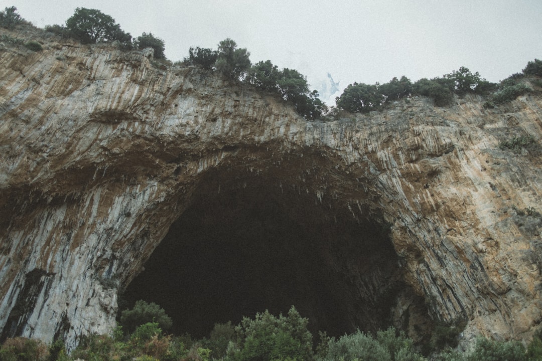 Cave Chauvet-Pont d'Arc - A masterpiece of prehistoric art. - Vallon-Pont-d'Arc | Secret World Trip Planner