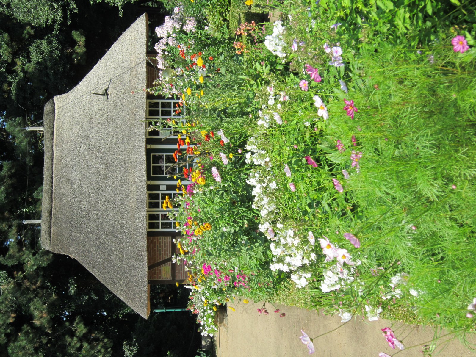 Hamburgs Botanischer Garten - Hamburg | Secret World Trip Planner