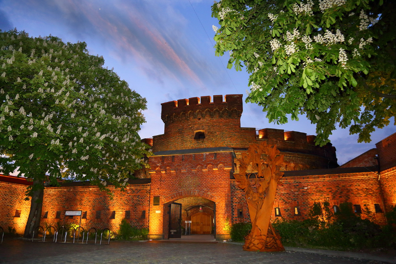 Museo dell’Ambra — Kaliningrad
