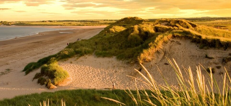 Beadnell Beach hat die Form eines Hufeisens — Beadnell