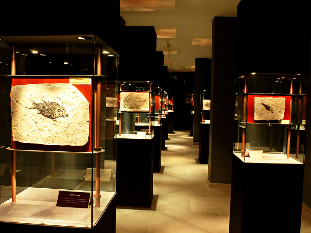 Taman Geo-palaeontologi Paleolab - Pietraroja | Secret World Trip Planner