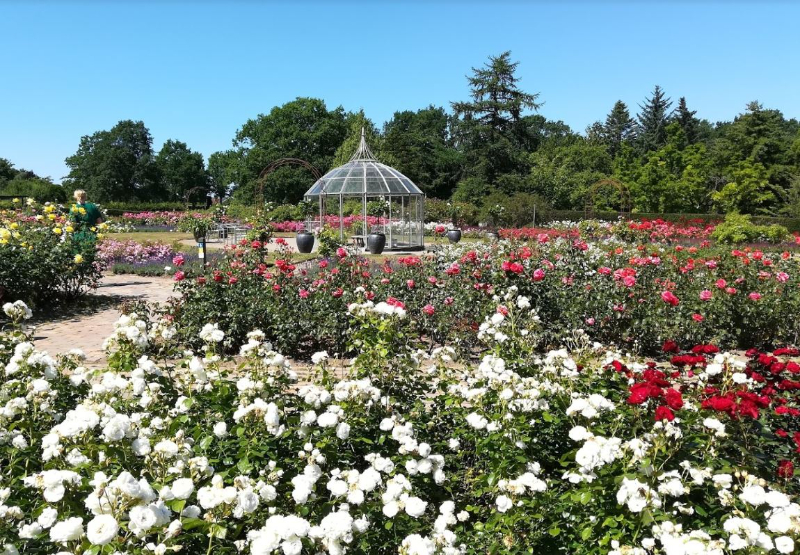 Der geografische Garten — Kolding
