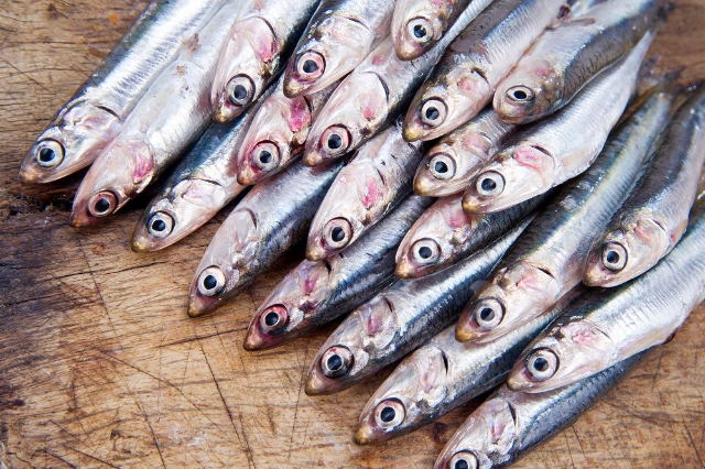 Monterossoko antxoak - Monterosso al Mare | Secret World Trip Planner