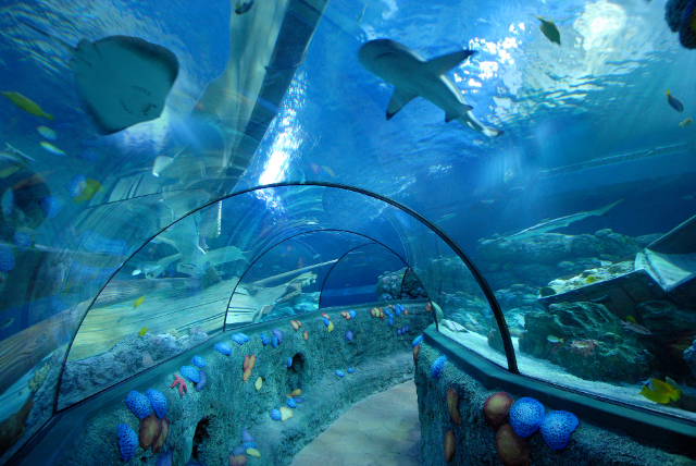 Sea Life Speyer - Speyer | Secret World Trip Planner