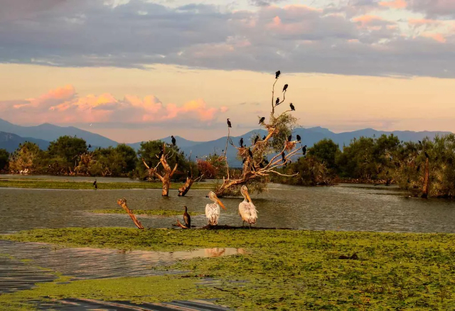 Der Kerkini-See: Ein Naturparadies in Nordgriechenland - Lake Kerkini | Secret World Trip Planner