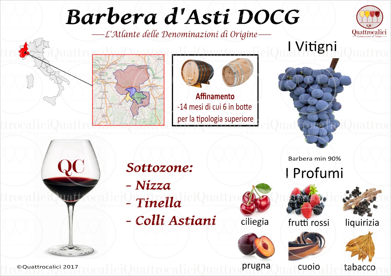Spitzenweine der Welt | Barbera d'Alba doc — 12051 Alba CN