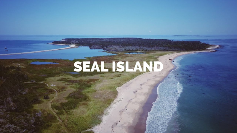 Seal Island — Seal Island