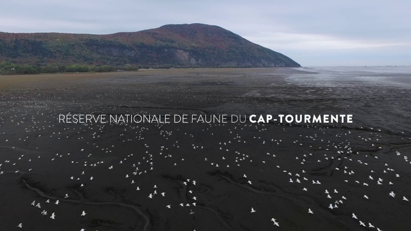 Cap Tourmente National Wildlife Area — Saint-Joachim