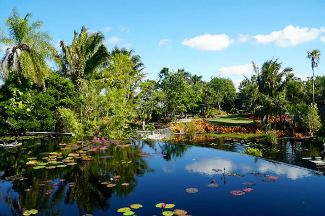 Botanischer Garten Neapel - Naples | Secret World Trip Planner