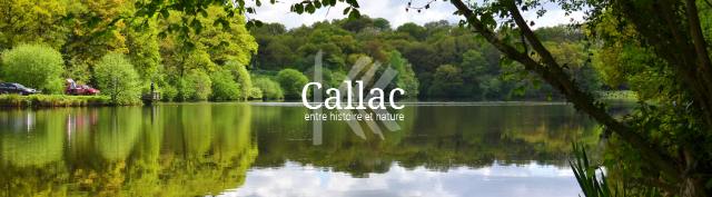 Callac e gli Epagneul Breton - Callac | Secret World Trip Planner
