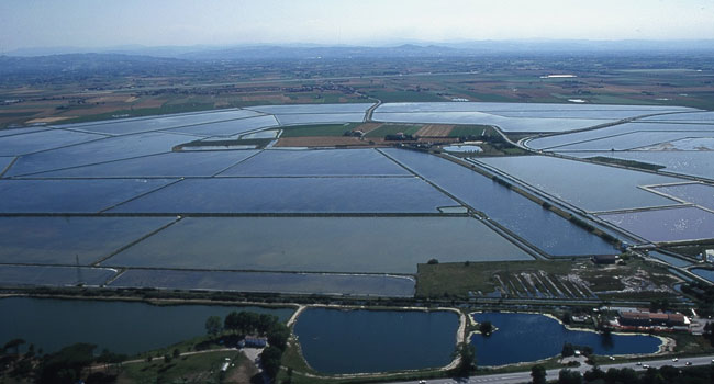 Naturreservatet Salina di Cervia - 61 | Secret World Trip Planner