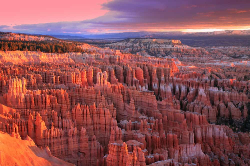 Hoodoos—Bryce Canyon National Park, Utah — Utah