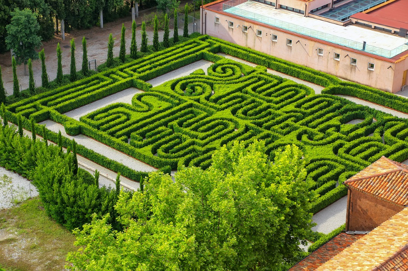 Longleat Hedge Maze, England — Longleat