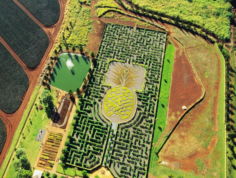 Dole Plantation Maze, Hawaii - Wahiawa | Secret World Trip Planner