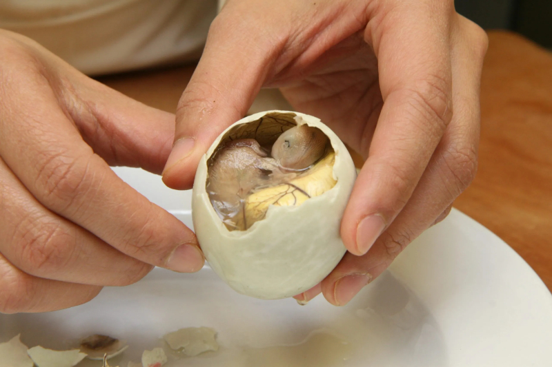 Balut – The Philippines - Manila | Secret World Trip Planner